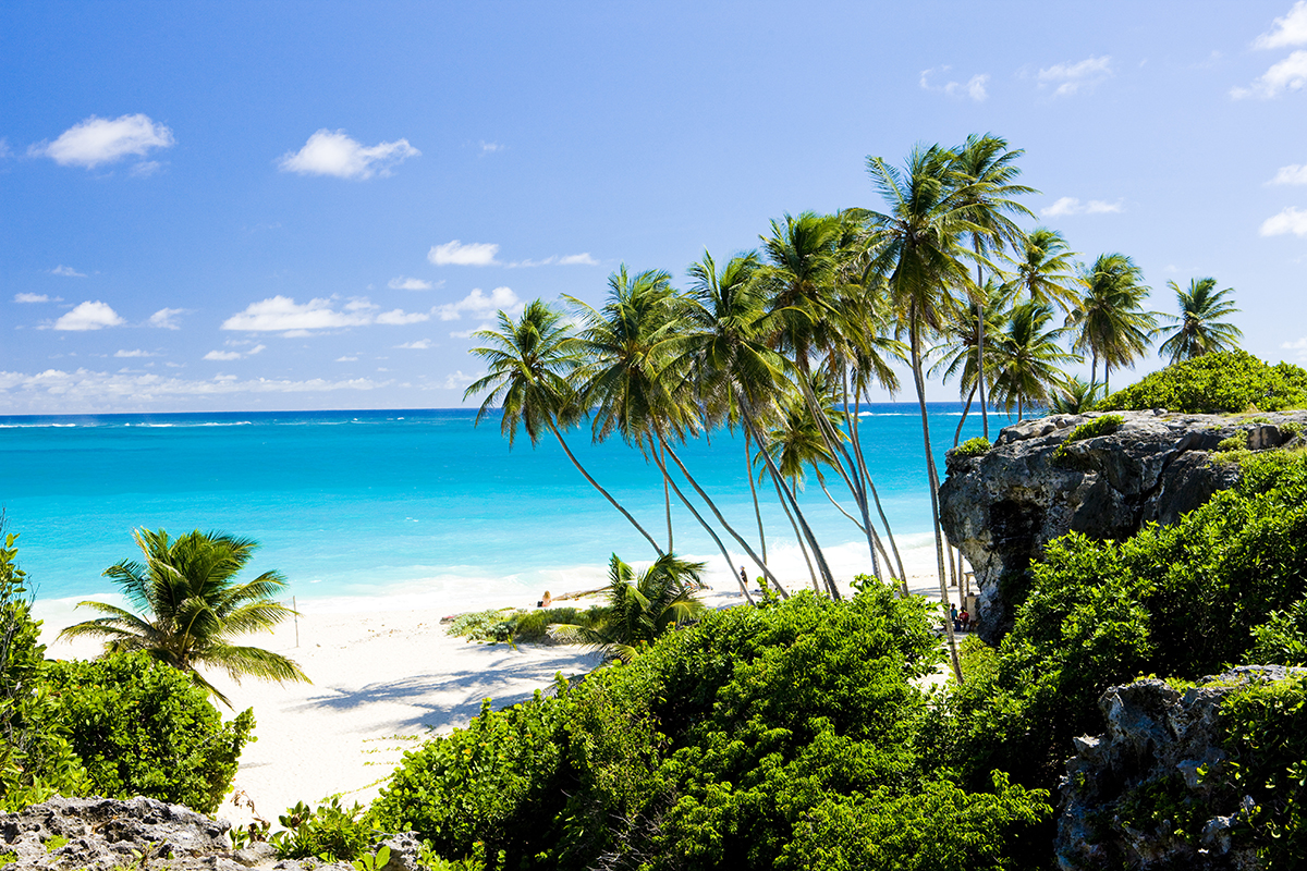 Barbados secluded beach palm trees