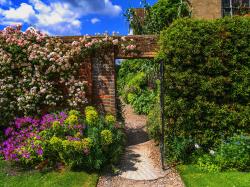 Is your garden the best in Britain? 
