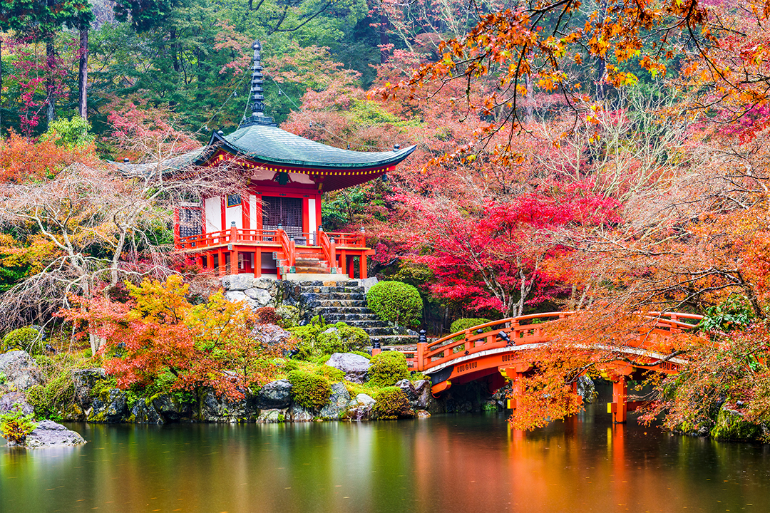 The Top 20 Most Beautiful Places To Live In The World Blog   Kyoto 