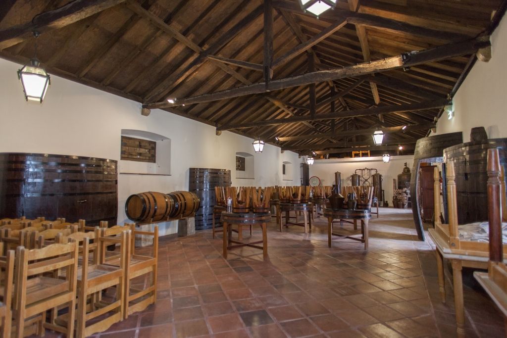 Top 10 Christmas wine cellars Fine & Country