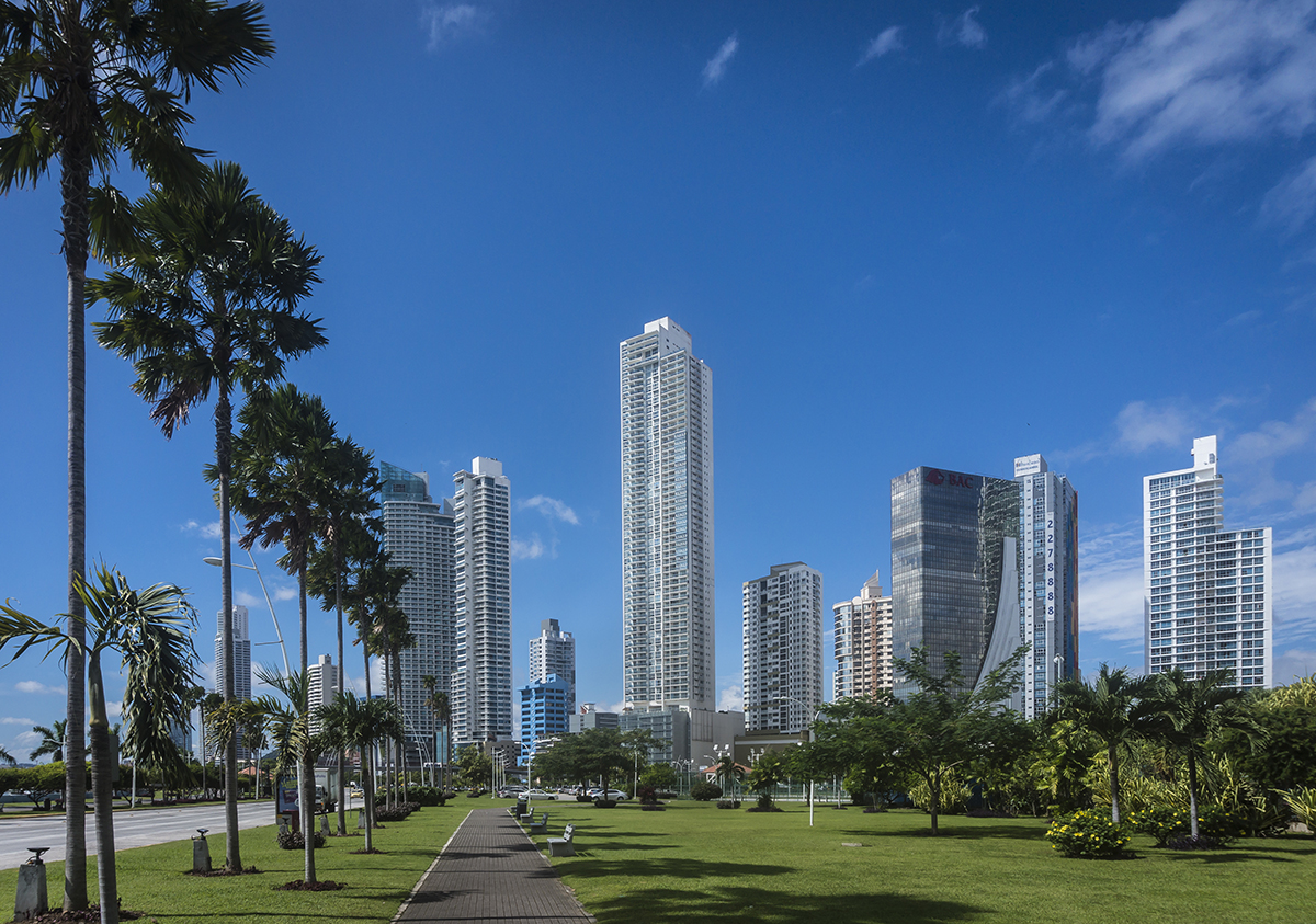 Panama city and palm trees