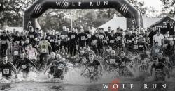 Join the wolf pack: Fine & Country Foundation tackles the Wolf Run